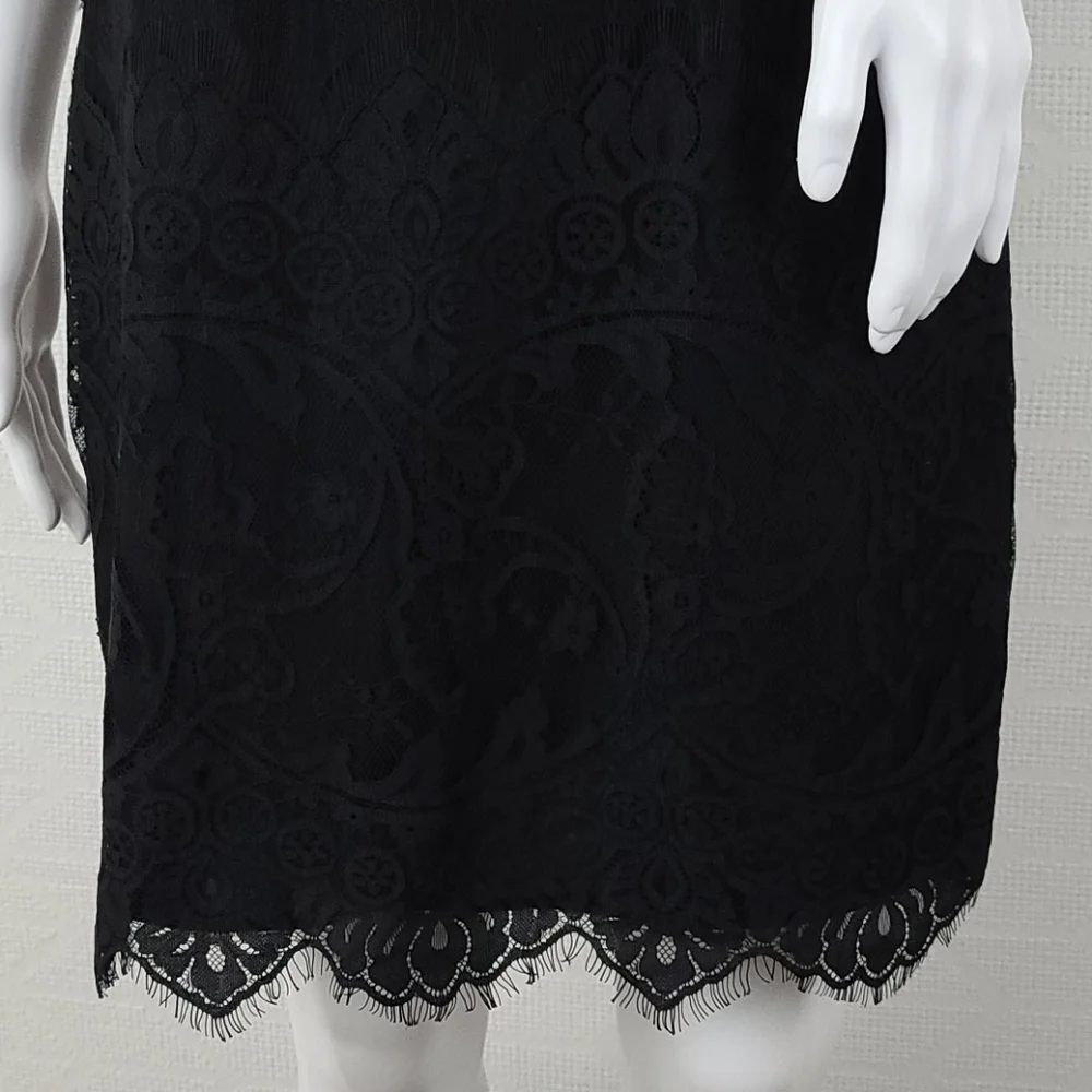 BB Dakota Jayce Lace Sheath Dress - Picture 6 of 15